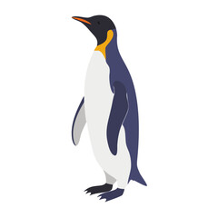 Obraz premium Penguins 