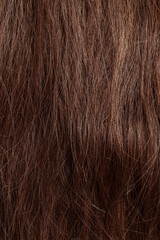 Fototapeta premium brunette hair, brown long dull tangled hair with split ends, macro hair texture