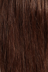 Naklejka premium brunette hair, brown long dull tangled hair with split ends, macro hair texture