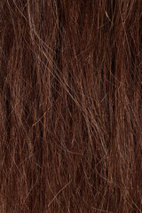 Naklejka premium brunette hair, brown long dull tangled hair with split ends, macro hair texture