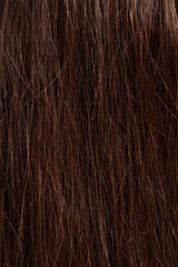 Naklejka premium brunette hair, brown long dull tangled hair with split ends, macro hair texture