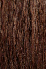 Naklejka premium brunette hair, brown long dull tangled hair with split ends, macro hair texture