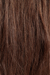 Fototapeta premium brunette hair, brown long dull tangled hair with split ends, macro hair texture