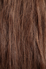 brunette hair, brown long dull tangled hair with split ends, macro hair texture