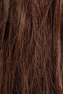 brunette hair, brown long dull tangled hair with split ends, macro hair texture
