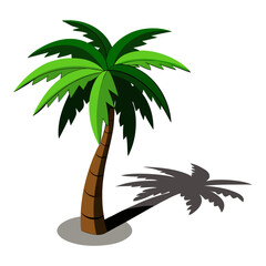 Shadow Casting Palm Tree Vector Illustration