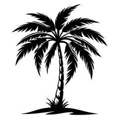Silhouette of palm tree