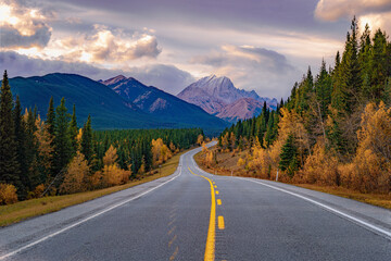 Autumn Road's Mountain Majesty