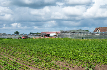 Agriculture fields at the Flemish countryside around Roksem, West Flanders, Belgium