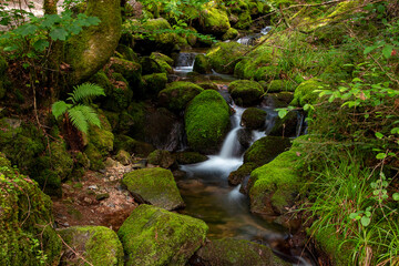Bachlauf / Wasserfall im Schwarzwald