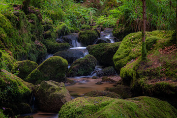 Bachlauf / Wasserfall im Schwarzwald
