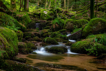 Bachlauf / Wasserfall im Schwarzwald