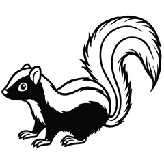 Striped skunk with fluffy tail raised in action