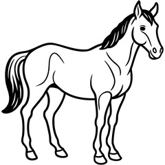 Obraz premium black horse vector illustration