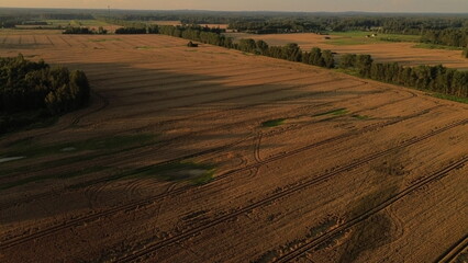 Obraz premium Drone Horizon: Aerial Sunset Over Wheat Fields Agroculture