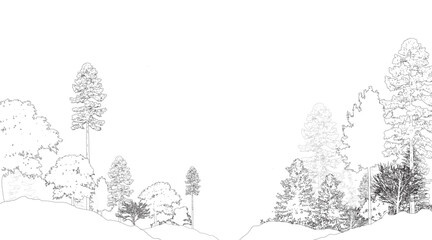 Architectural Drawings, Minimal style cad tree line drawing, Side view, set of section wetland forest outline for landscape design drawing. Vector illustration in seperate element