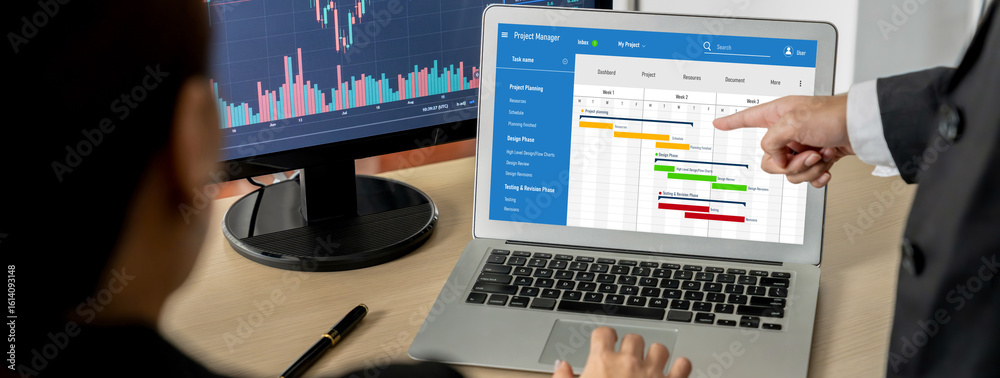 Poster project planning software for brisk business project management on the computer screen showing timel