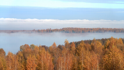 Fototapeta premium Autumn morning. Picturesque river with morning fog over the water surface, framed by golden trees.