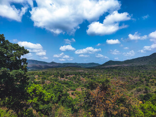 Fototapeta premium 4K Scenic View of Navi Mumbai With Blue Sky Over Lush Green Forest.