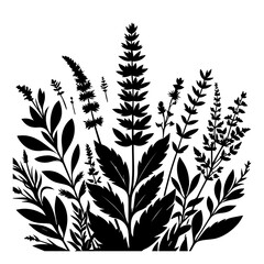 Black Silhouette Botanical Illustration of Various Plants.