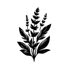Black Silhouette of a Botanical Plant with Leaves and Spikes.