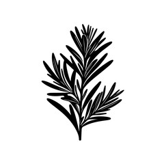 Black Silhouette of Rosemary Herb Branch.