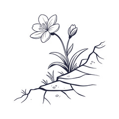 Elegant line art of a flower growing from a rock on a white background