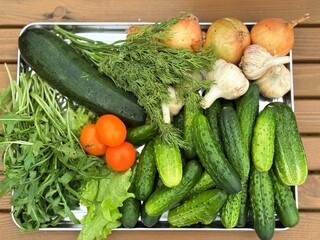 Autumn harvest