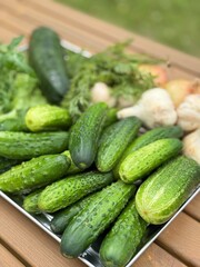 Autumn harvest
