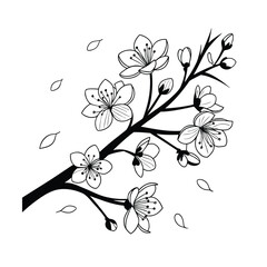 Elegant sakura cherry blossom branch line art for spring designs
