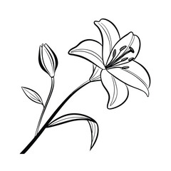 Elegant single flower silhouette with delicate stem line art