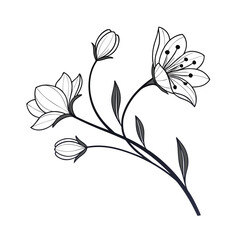 Elegant single stem line art with two delicate flowers on a clean white background © Mother Of Mahofuj