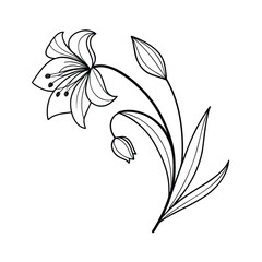 Minimalist abstract flower line art design with vibrant color accents