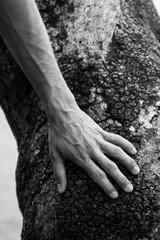 tree and human