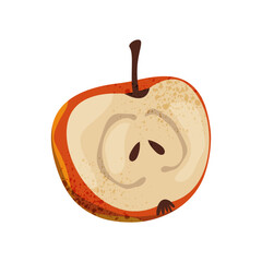 Vector icon of sliced autumn apple. Healthy food or natural edible fruit. Vegan and vegetarian nutrition or organic vitamin product. Grocery and meal, snack market symbol. Biology, botany, agriculture