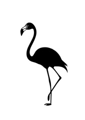 Silhouette of a Standing Flamingo
