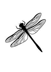 Detailed Silhouette of a Dragonfly
