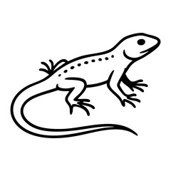 Fototapeta premium lizard vector