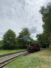 Fototapeta premium Train à vapeur, Rillé, France