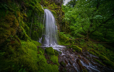 Obraz premium waterfall in the woods