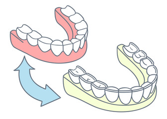 Dentures illustration showing removable teeth appliance for dental care and oral hygiene solution for missing teeth