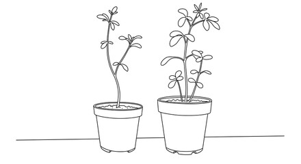 Minimalist black and white potted plants in simple outline style