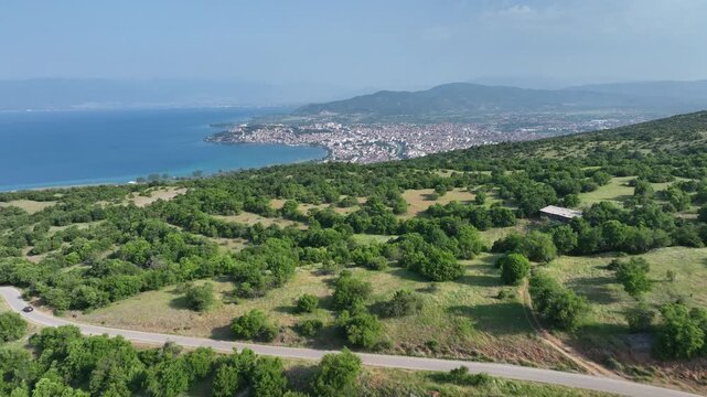 Overlook View of Ohrid City and Coastline From Forested Hillside, North Macedonia