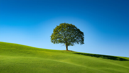 Obraz premium isolated tree sits atop perfectly green hill under a cloudless blue sky minimalist and bright landscape captures sense freedom and simplicity with the vivid colors standing out