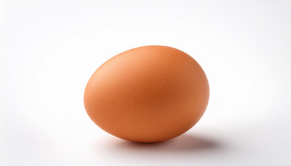 fresh brown egg on a white background