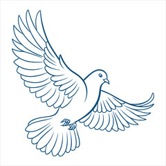 Fototapeta premium Dove Vector