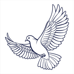 Dove Vector