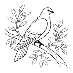 Dove Vector