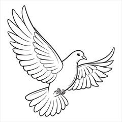 Fototapeta premium Dove Vector