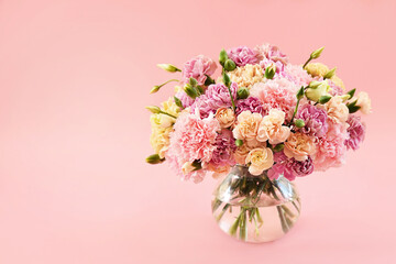 Delicate blooming festive pink carnation flowers, blossoming dianthus flower background, soft...